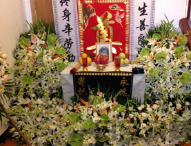 案例展示