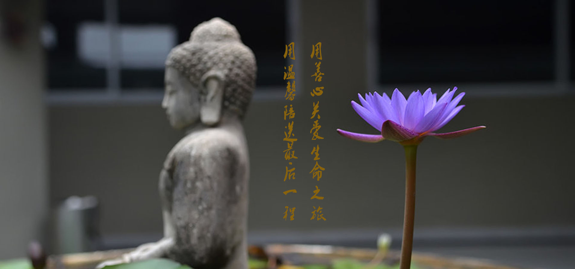 日月殡葬